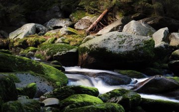 Voskovice - svíčky s označením Šumava - originální produkt®: Udržitelný a autentický výrobek z malebného regionu